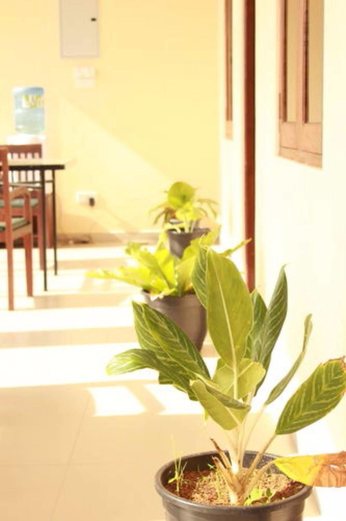 Pearl City Hotel Tissamaharama Ngoại thất bức ảnh